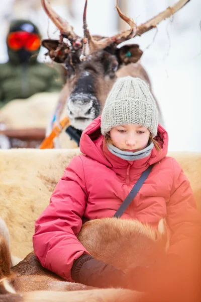 Adorable Chica Safari Renos Bosque Invierno Laponia Finlandia —  Fotos de Stock