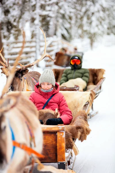 Laponya Finlandiya Kış Ormanlarında Ren Geyiği Safarisi Yapan Genç Çocuklar — Stok fotoğraf