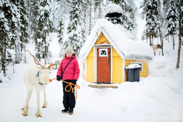 在芬兰拉普兰冬季森林中与白驯鹿一起散步的可敬的少女 — 图库照片