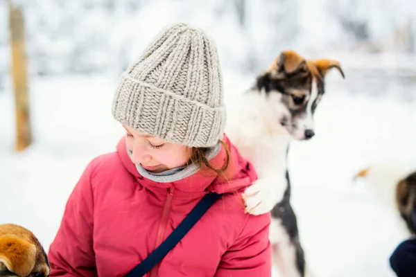 Urocza Przednastolatka Przytula Się Husky Szczeniaka Świeżym Powietrzu Zimowy Dzień — Zdjęcie stockowe