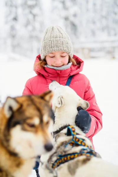 Urocza Przednastolatka Przytula Się Husky Szczeniaka Świeżym Powietrzu Zimowy Dzień — Zdjęcie stockowe