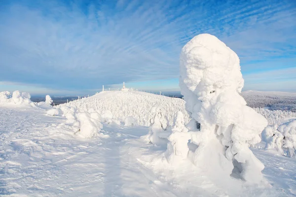 Μεγαλοπρεπές Χειμερινό Τοπίο Χιονισμένα Δέντρα Στη Λαπωνία Της Φινλανδίας — Φωτογραφία Αρχείου