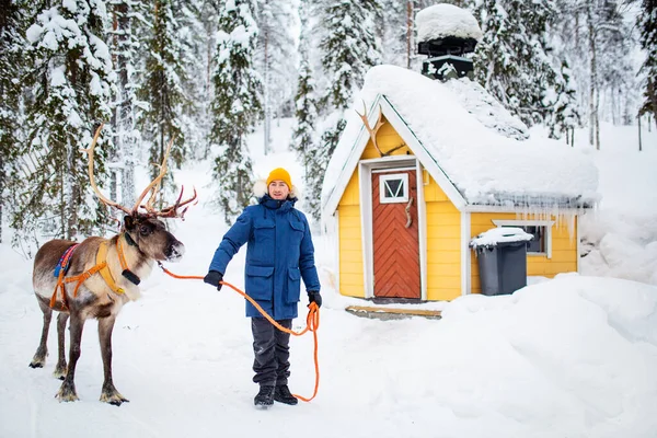 Młody Człowiek Spacerujący Reniferami Zimowym Lesie Laponii Finlandia — Zdjęcie stockowe