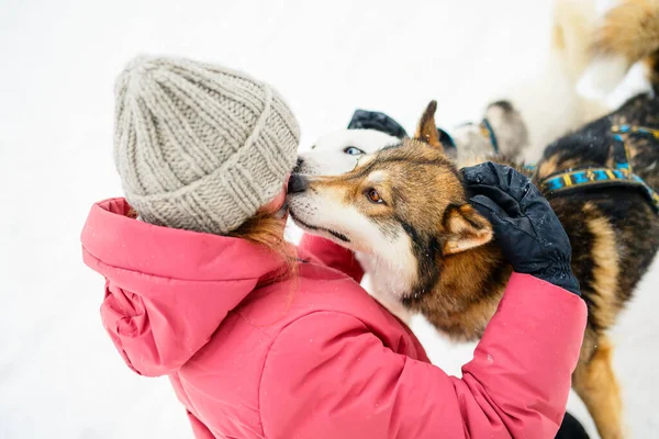 在芬兰拉普兰 一个可爱的十几岁前女孩在冬日与哈士奇狗拥抱在一起 — 图库照片