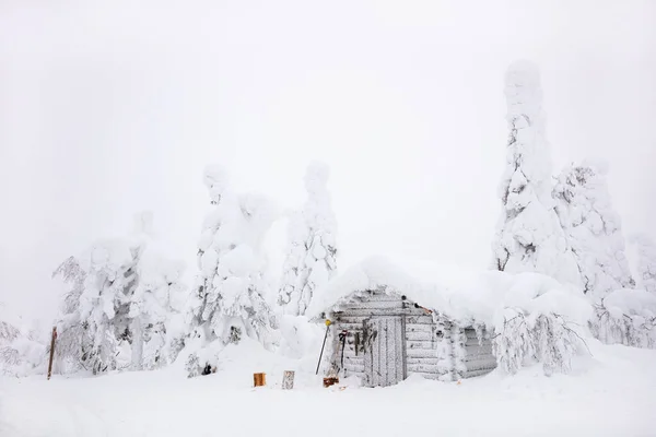 Laponya Finlandiya Nın Görkemli Kış Ormanlarında Kar Kaplı Kulübe — Stok fotoğraf