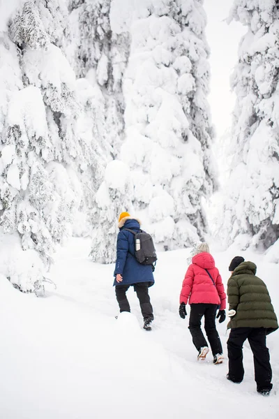 在芬兰拉普兰美丽的冬季森林中远足的家庭父亲和孩子的回顾 — 图库照片