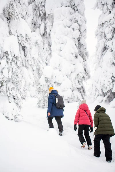 Back View Family Father Kids Hiking Beautiful Winter Forest Lapland — Stock Photo, Image