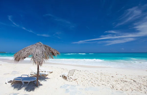 Vakker karibisk strand – stockfoto