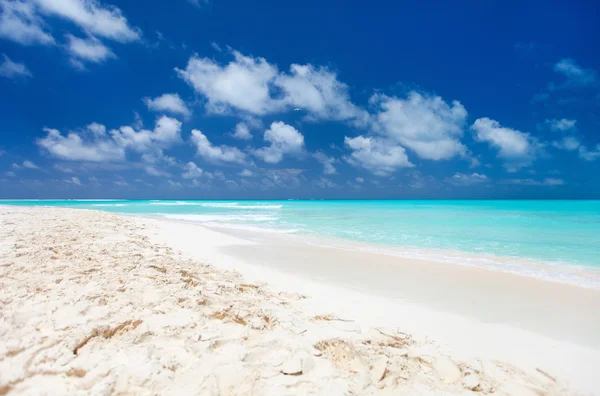 Karibik Strand und Meer — Stockfoto