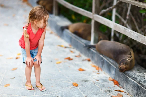 Little girl looking to sea lions — Stock Photo, Image