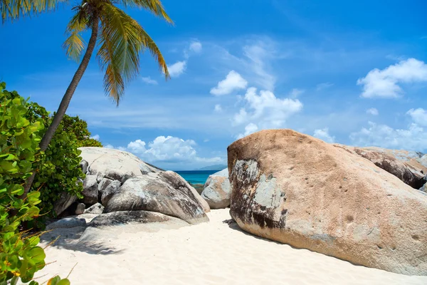 Immagine spiaggia perfetta ai Caraibi — Foto Stock
