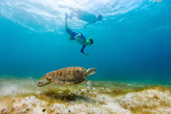 Family snorkeling with sea turtle — Stock Photo, Image