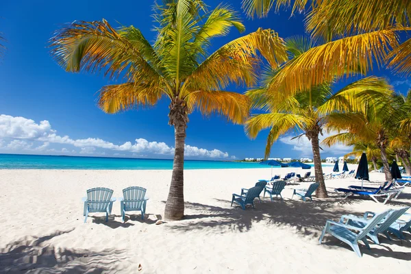 Vacker karibisk strand — Stockfoto