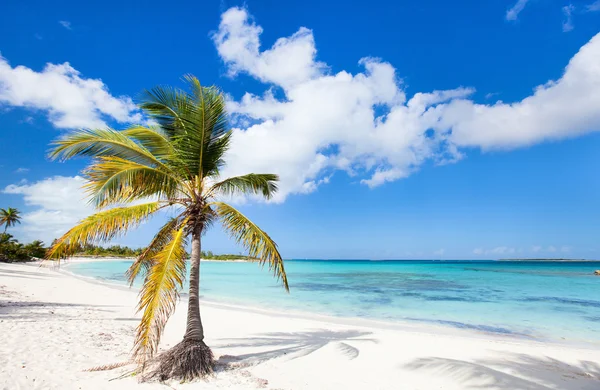 Красивый карибский пляж Лицензионные Стоковые Изображения