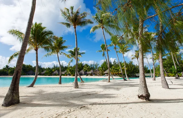 Playa en Bora Bora — Foto de Stock
