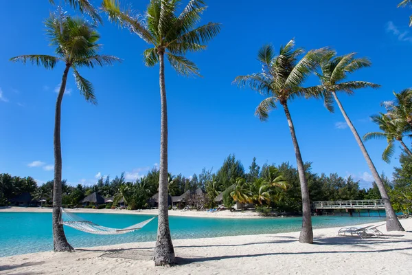 Piękna plaża na wyspie Bora bora — Zdjęcie stockowe