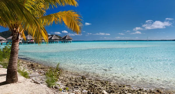 Spiaggia perfetta a Bora Bora — Foto Stock