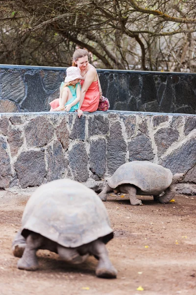 Galapagos family vacation — Stock Photo, Image
