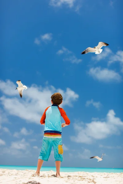 Boy and seagulls — Stock Photo, Image