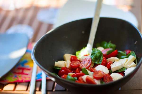 Salada de tomate e mussarela — Fotografia de Stock