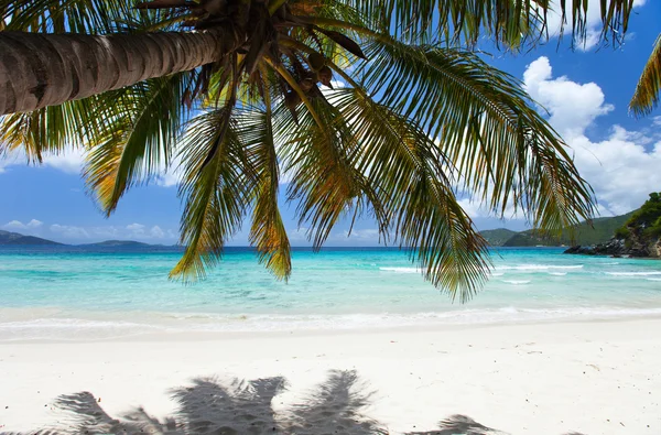 Belle plage tropicale aux Caraïbes — Photo