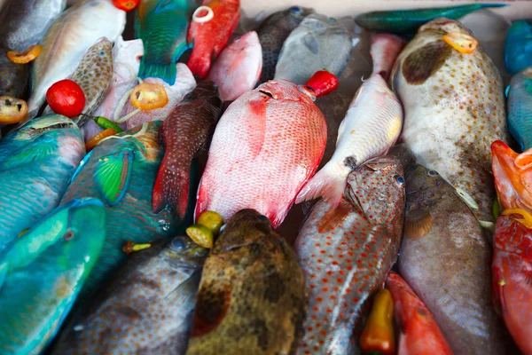 Peixe em desova no mercado de peixe — Fotografia de Stock
