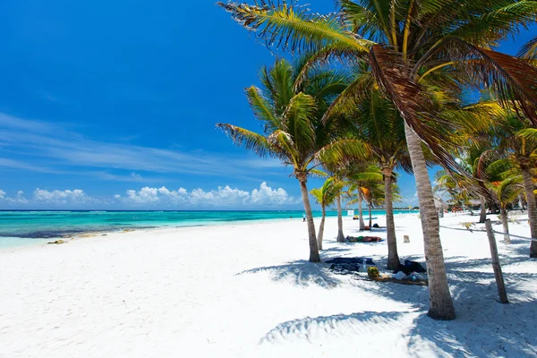 Vacker strand i Mexiko — Stockfoto