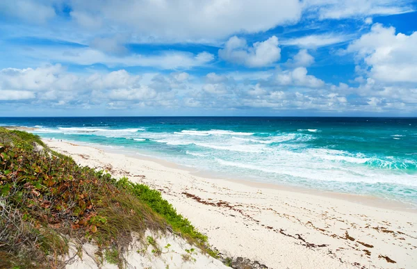 Tropická pláž a moře — Stock fotografie