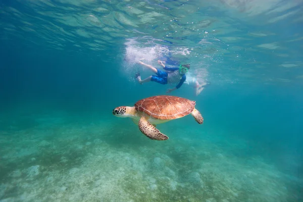 Family snorkeling with sea turtle — Stock Photo, Image