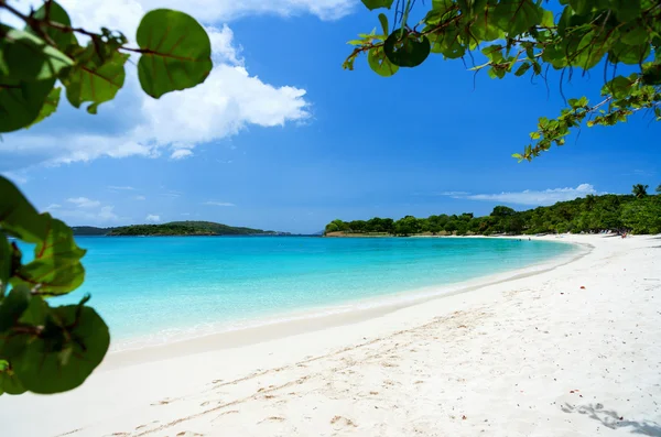 Красивый тропический пляж на Карибах — стоковое фото