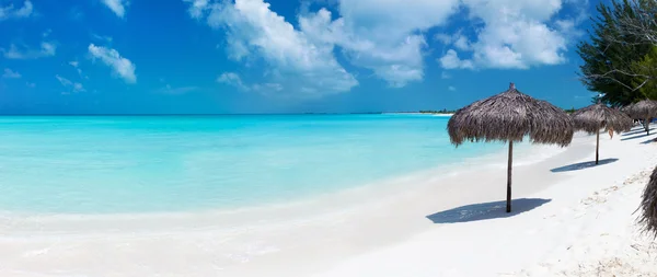 Vackra karibiska stranden panorama — Stockfoto