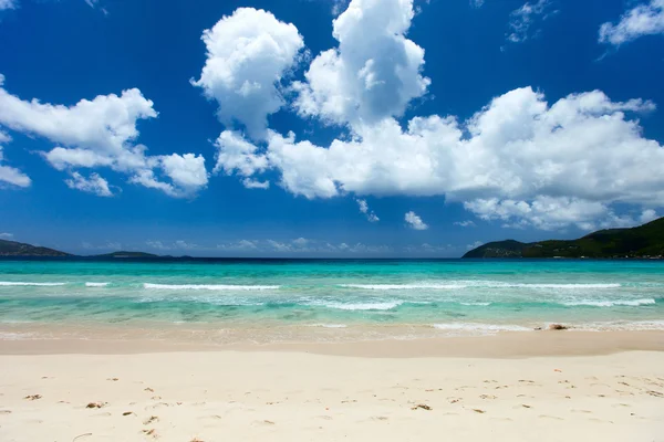 Vackra tropiska stranden vid caribbean — Stockfoto