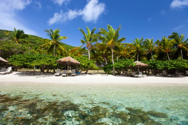 Bela praia tropical no Caribe — Fotografia de Stock