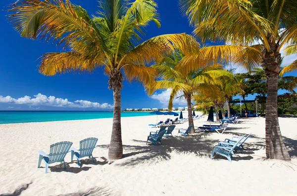 Vacker karibisk strand — Stockfoto