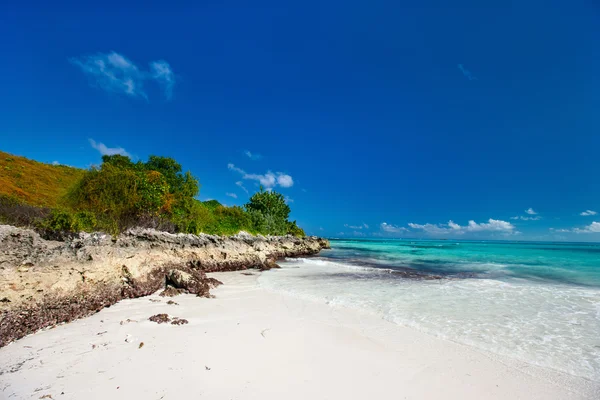 Costa alle Bahamas — Foto Stock