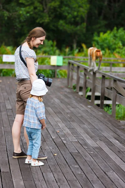 Mor och dotter tittar på Snabel monkey — Stockfoto