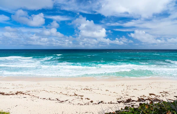 Spiaggia tropicale e mare — Foto Stock