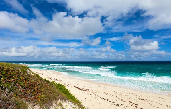 Spiaggia tropicale e mare — Foto Stock