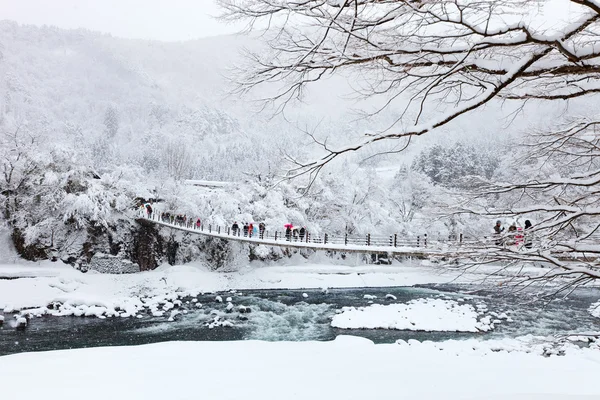 Japón en invierno — Foto de Stock