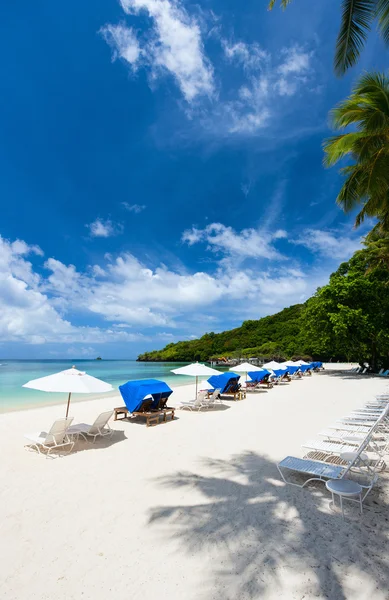 Beautiful tropical beach at exotic island — Stock Photo, Image