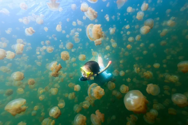 Tourist snorkeling in Jellyfish Lake — Stock Photo, Image