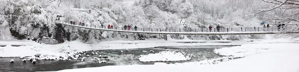 Japón en invierno —  Fotos de Stock