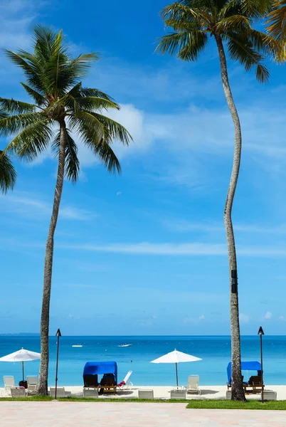 Belle plage tropicale sur une île exotique — Photo