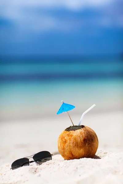 Coconut on a tropical beach — Stock Photo, Image