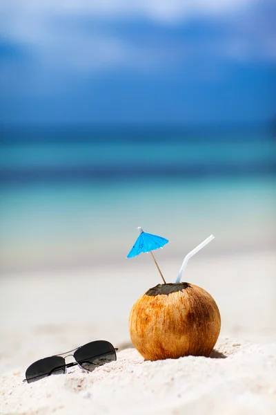 Coconut on a tropical beach Royalty Free Stock Images