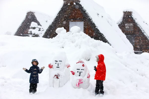 Японская деревня зимой — стоковое фото