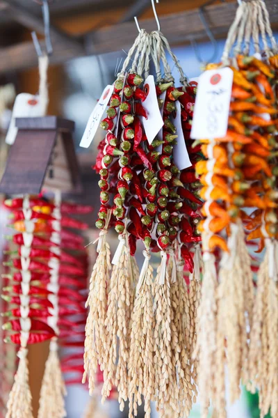 Chiles secos atados con cuerda de paja — Foto de Stock