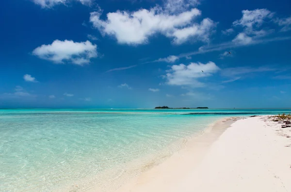 Praia e mar do caribe — Fotografia de Stock
