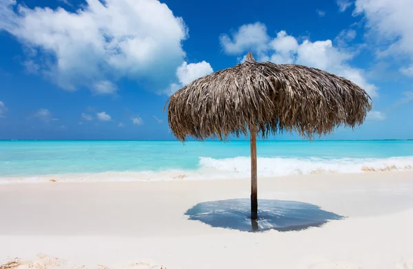 Schöner karibischer Strand — Stockfoto