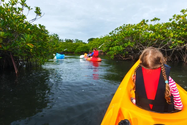 Familjen kajakpaddling i mangrove — Stockfoto